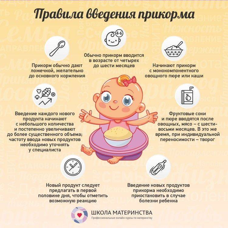 Как развивать ребенка в 6 месяцев - детская городская поликлиника №1 г. магнитогорска