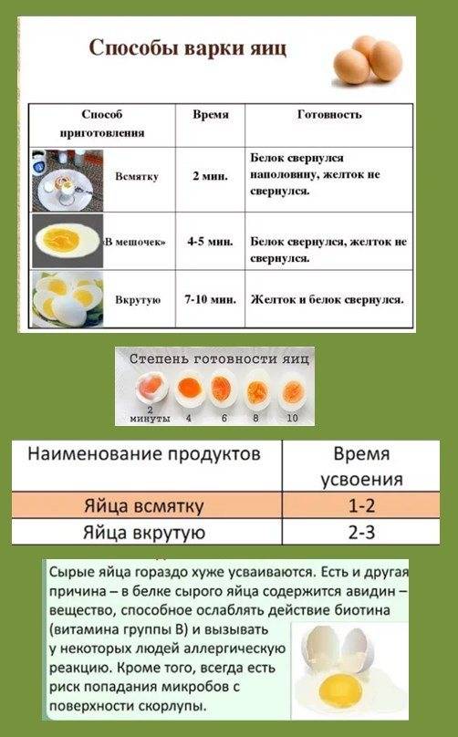 С какого возраста можно давать омлет малышу и рецепты, как его лучше приготовить для ребенка stomatvrn.ru
