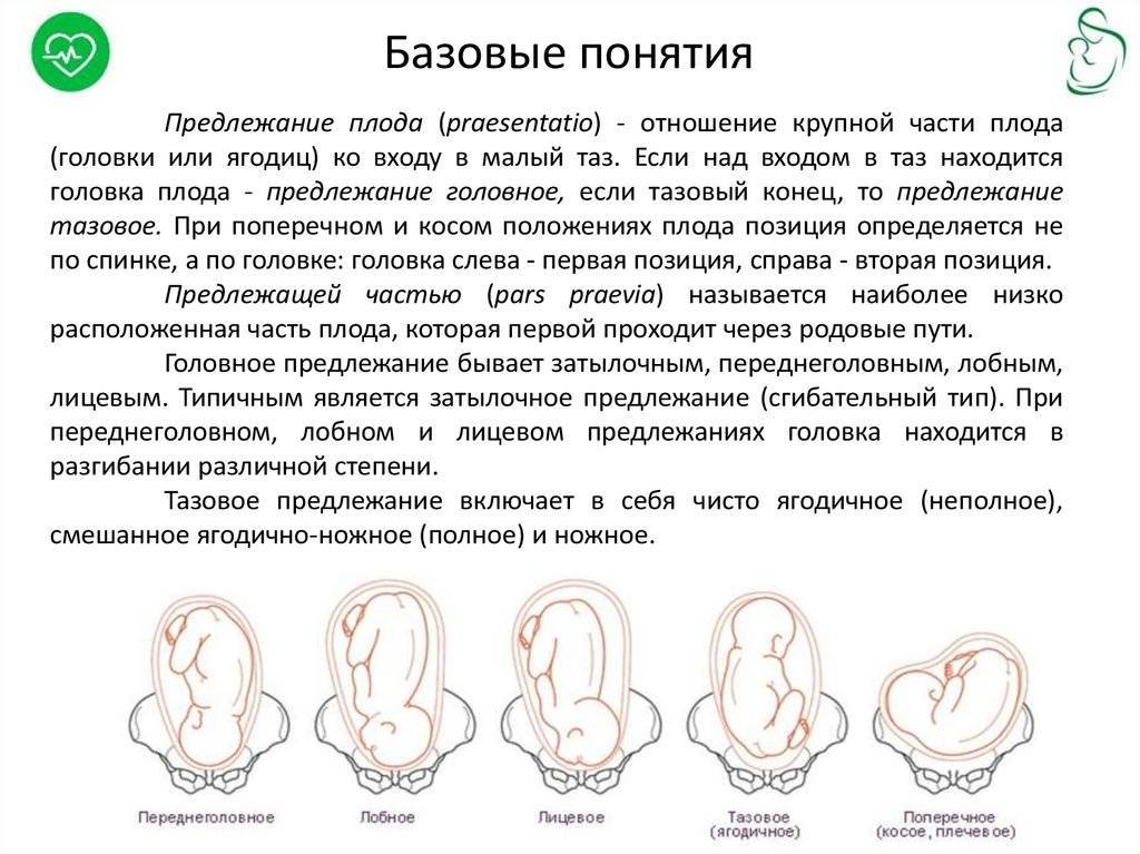 ᐉ ребенок лежит вниз головой. расположение плода при беременности - ➡ sp-kupavna.ru