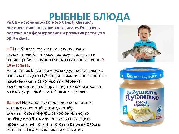 Какую рыбу можно давать ребенку в прикорм