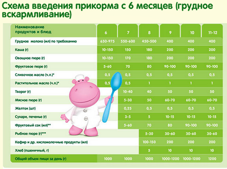 Таблица прикорма ребенка в 6 месяцев при грудном вскармливании