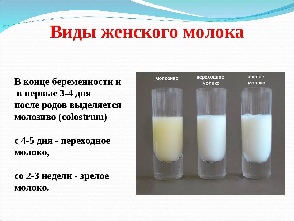 Как правильно сцеживать грудное молоко: можно ли руками или молокоотсосом, как и сколько хранить в холодильнике | nutrilak