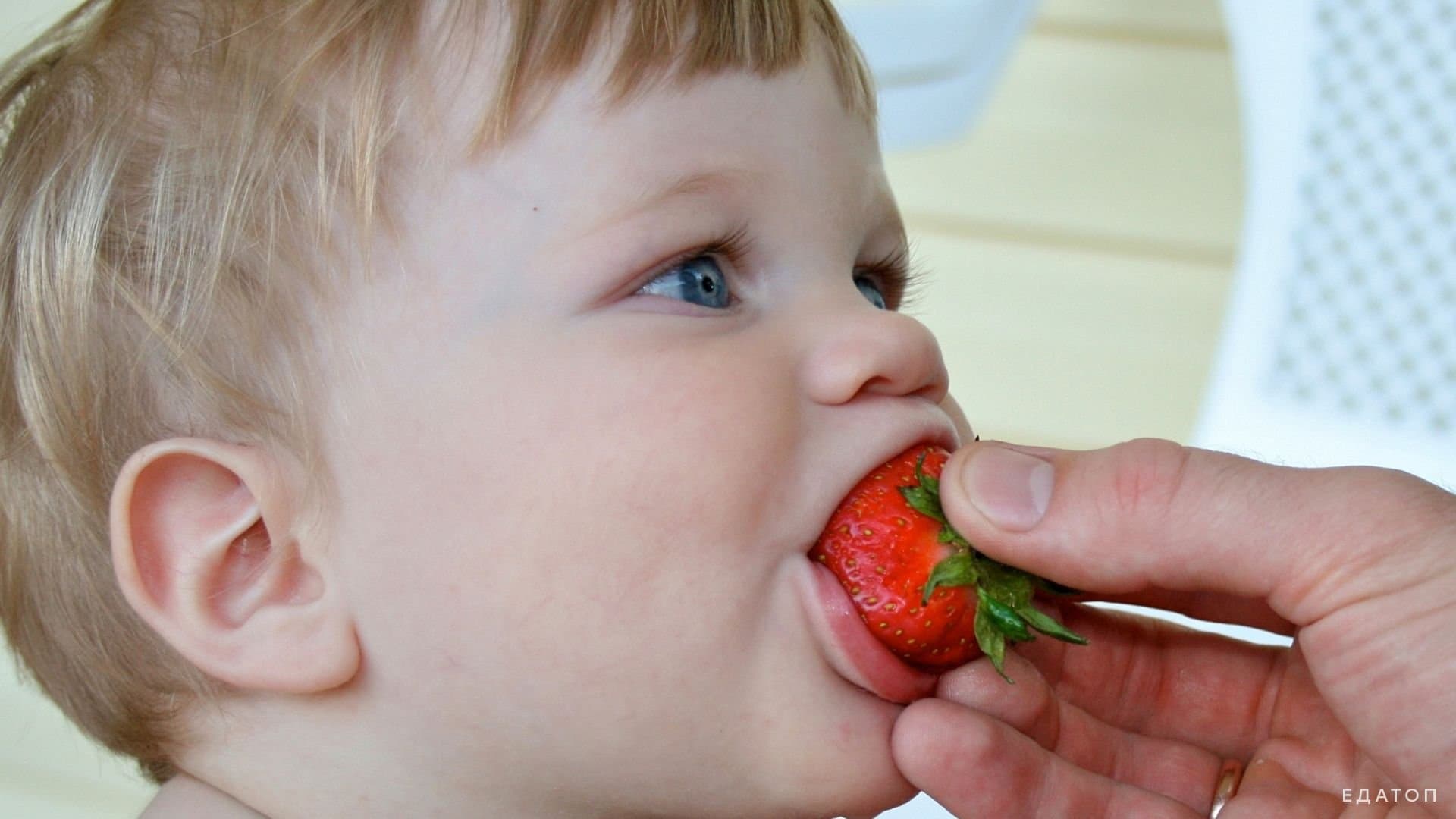 Когда можно давать малышу клубнику: совет заботливым родителям