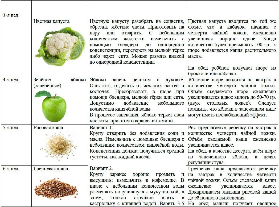 Чем полезен шпинат: полезные свойства и противопоказания