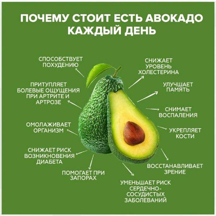 Авокадо при беременности: можно ли в 1, 2, 3 триместре, полезные свойства и противопоказания / mama66.ru