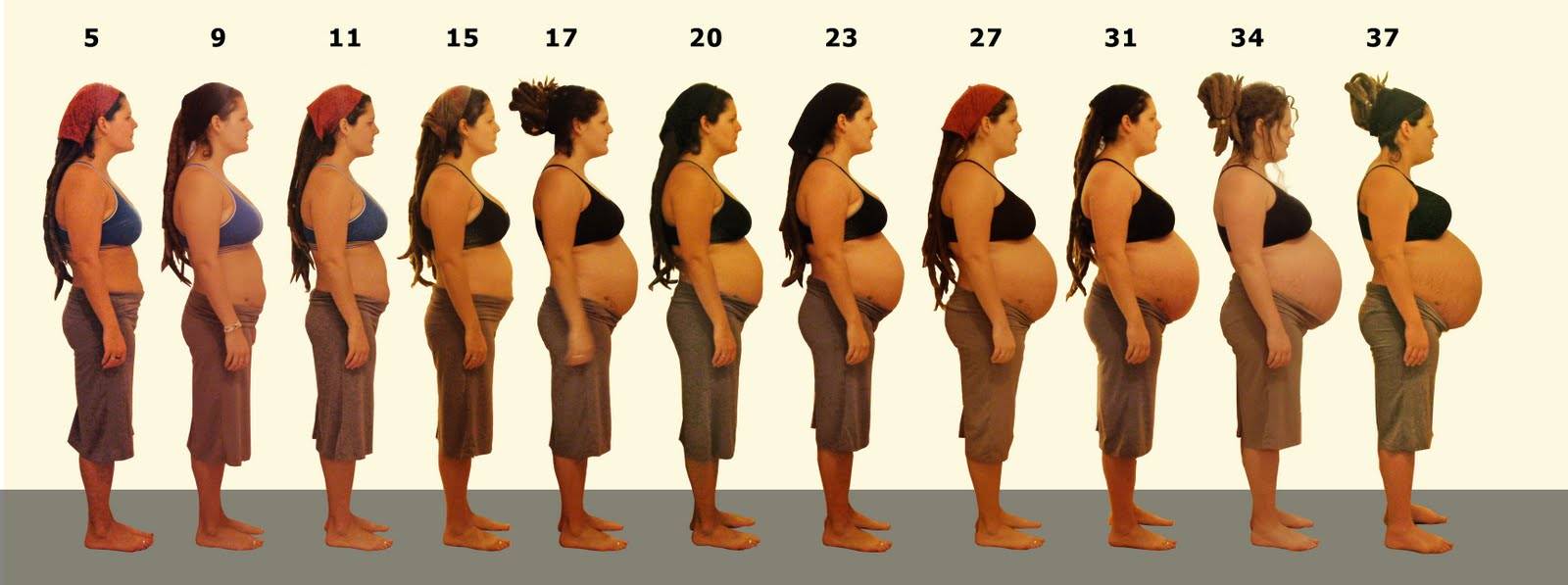 Нормы роста живота у беременных: от чего зависит форма и размер - детская клиническая больница г. улан-удэ