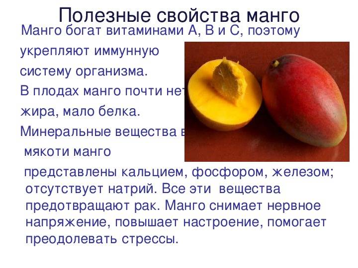 Можно ли манго при беременности. польза и вред манго во время беременности. манго и беременность: можно ли есть плод беременным в 1, 2 и 3 триместрах, какая польза и вред?
