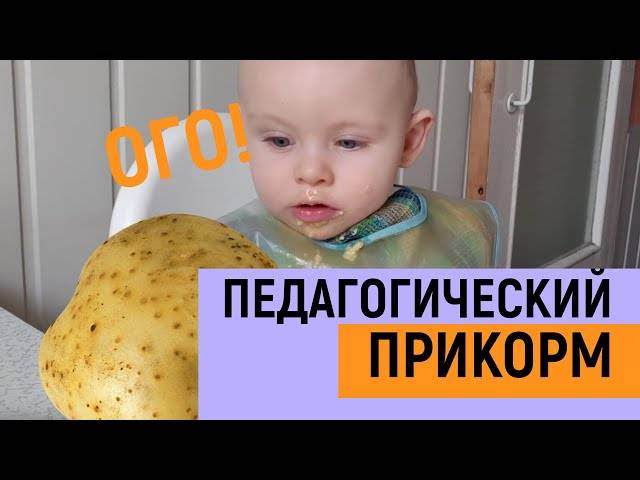 С какого возраста можно давать ребенку картофельное пюре