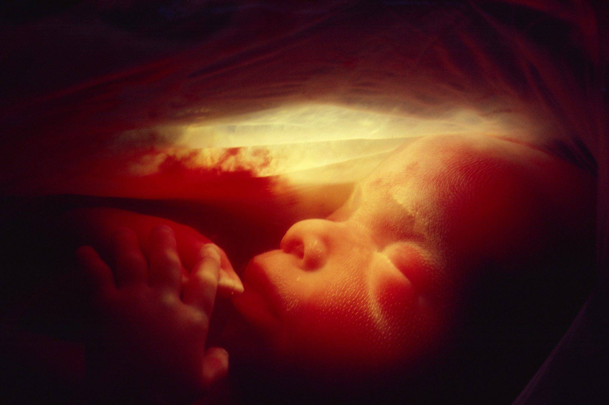 16 недель беременности – что происходит, развитие плода, ощущения, как выглядит живот - agulife.ru