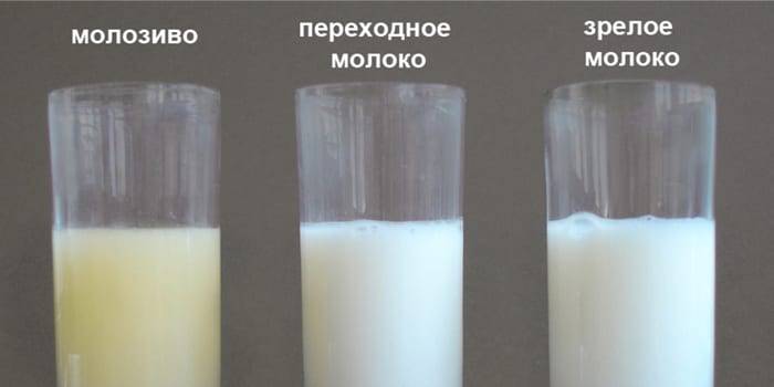 Наедается ли ребенок молозивом? какого цвета должно быть грудное молоко компоненты различающее грудное молоко и молозиво