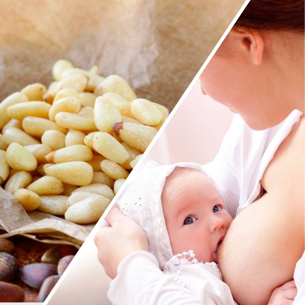 Можно ли при грудном вскармливании орехи (грецкие, кедровые или другие), какие из них полезны кормящим мамам