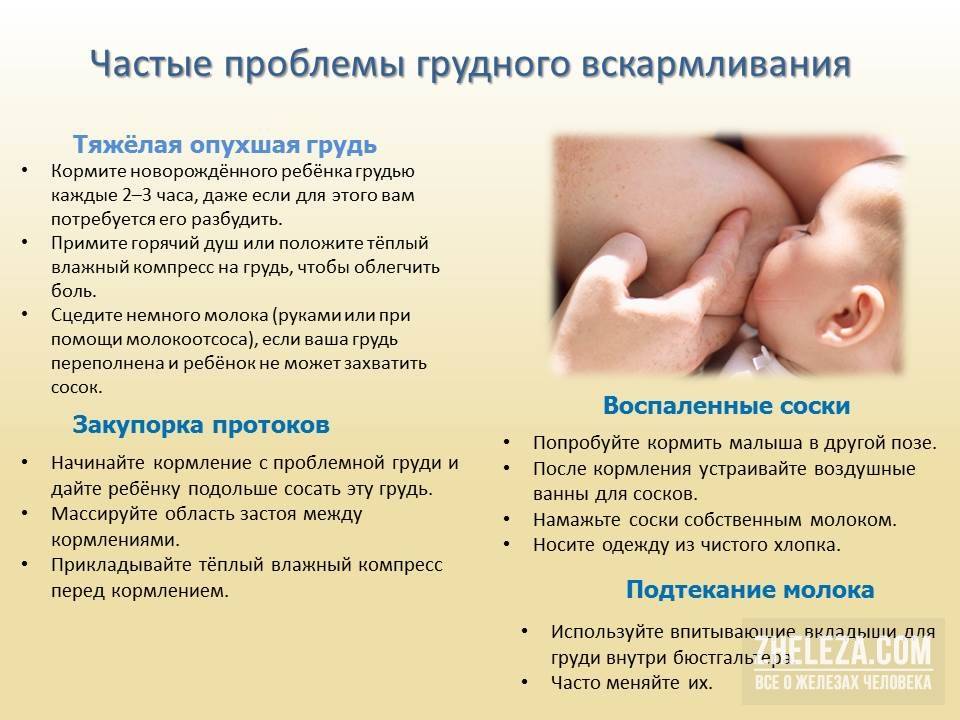 Трещины сосков у кормящих мам, методы их лечения и профилактики | nutrilak