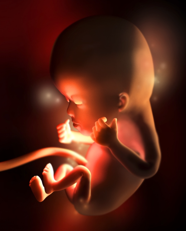 Кровотечения при беременности: причины, опасность * клиника диана в санкт-петербурге