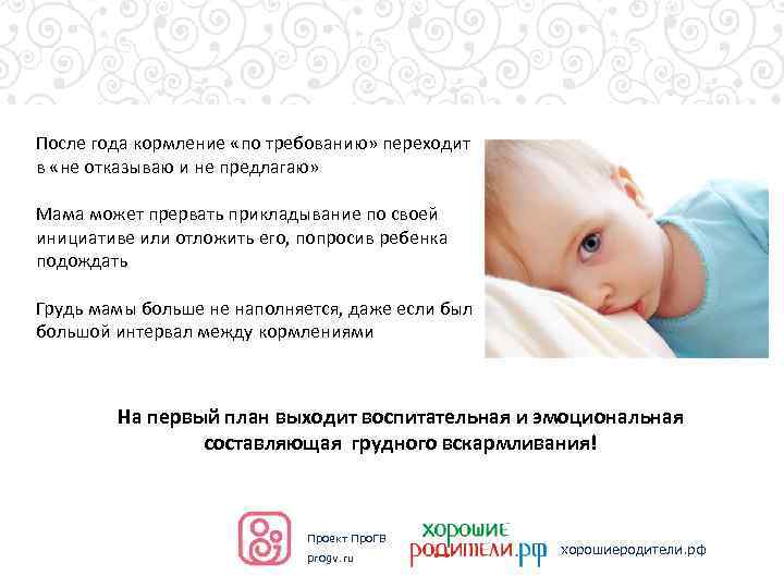 Кормление по требованию или по часам: врачи рассказали, как правильно - parents.ru