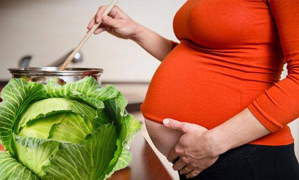 Капуста при беременности: можно ли есть, польза и вред, как правильно и сколько употреблять