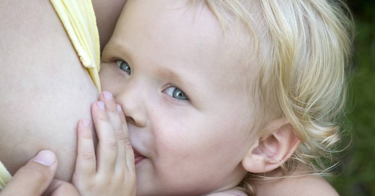 Ребенок всю ночь висит на груди: 9 полезных советов