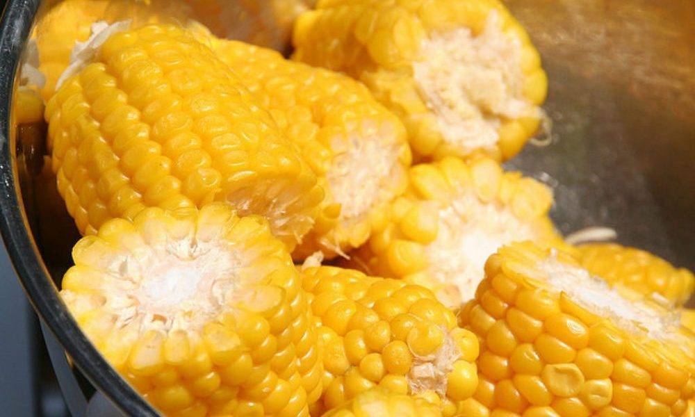 Вареная кукуруза для беременных: польза и вред
