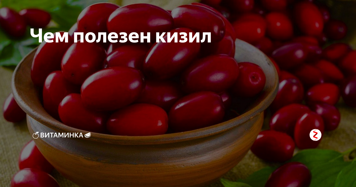 Кизил ягода: сорта, полезные свойства и противопоказания
