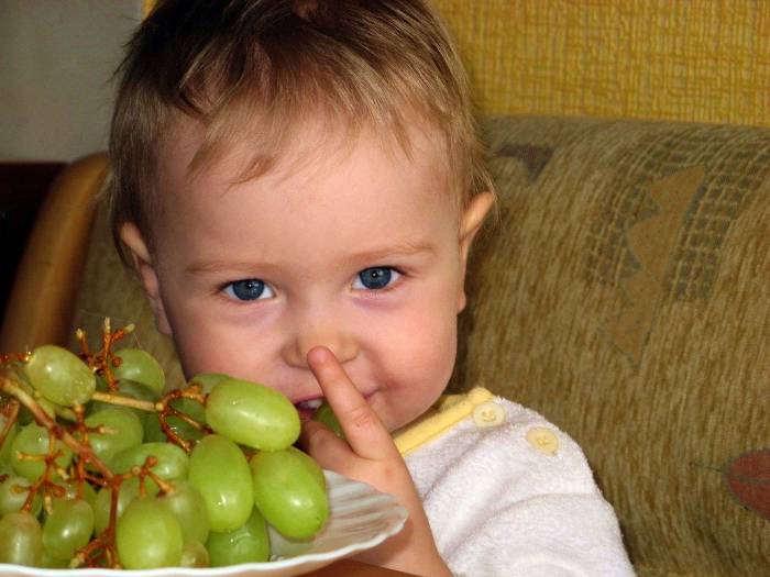 Когда можно давать ребенку виноград