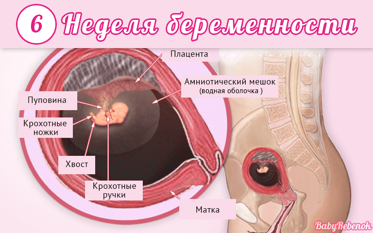 Медикаментозный аборт — прерывание беременности без тяжелых последствий? * клиника диана в санкт-петербурге