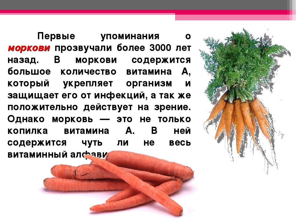 Морковь при грудном вскармливании: можно ли и в каком виде. польза и вред сырой моркови при гв