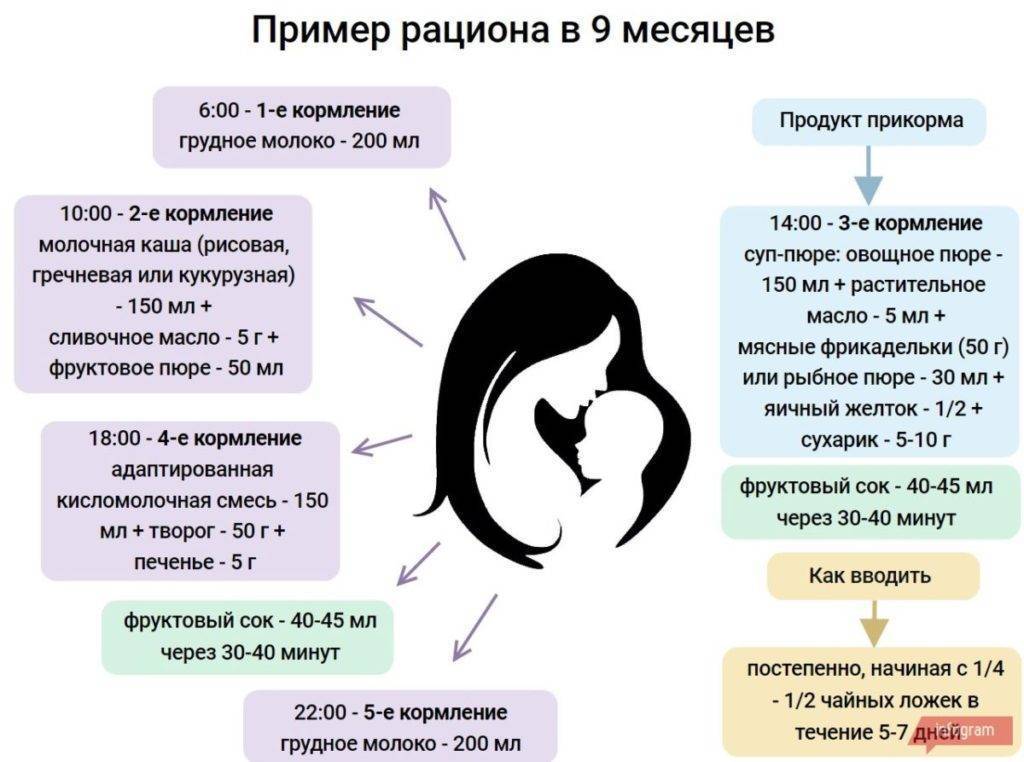 Меню ребенка в 9 месяцев: питание на искусственном вскармливании и рацион при грудном, нормы веса малыша и рецепты блюд