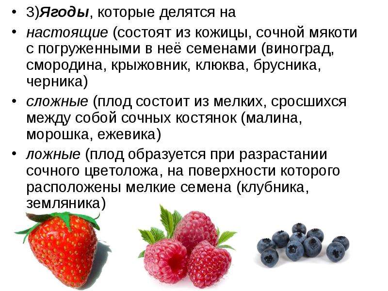 Какие ягоды можно при грудном вскармливании | консультант коуч-icta по грудному вскармливанию в минске 8(029)661-60-56