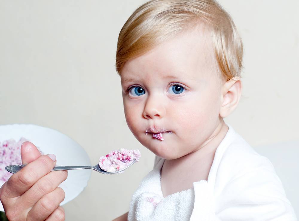 Ребенок не ест молочку? вкусные детские рецепты из молочных продуктов