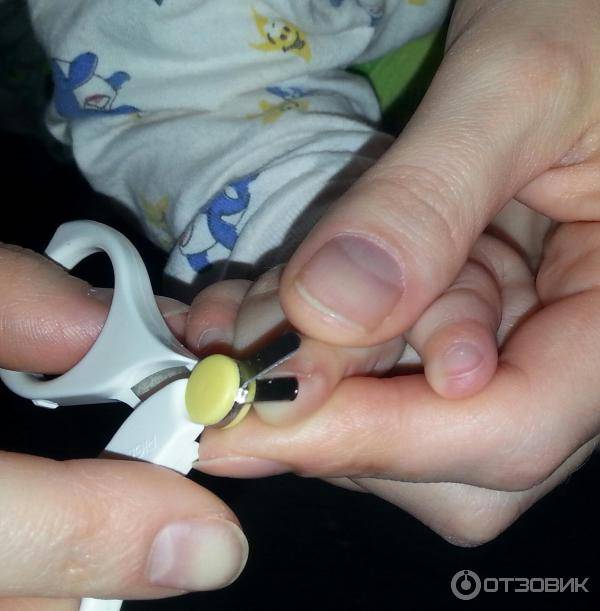 Как стричь ногти ребенку. что делать, если малыш не хочет подстригать ногти…(правила и советы) – маме на заметку
