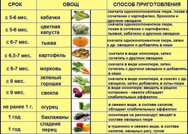 Тыква при грудном вскармливании (при лактации): можно ли есть кормящей маме? | nail-trade.ru