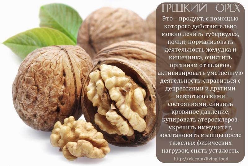 Грецкие орехи при грудном вскармливании