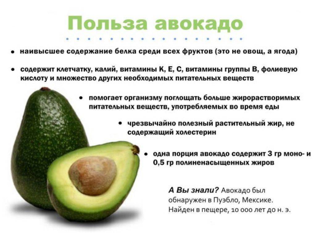 11 вкусных и простых в приготовлении рецептов детского питания из авокадо - healths - 2022