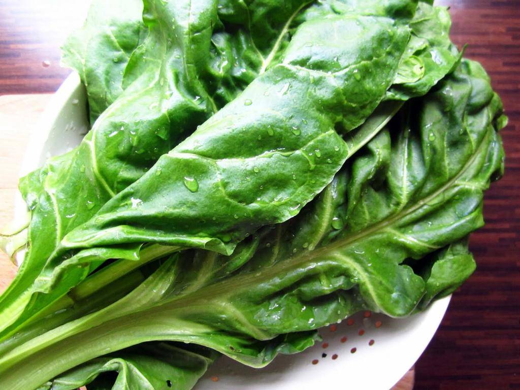 Что полезного в шпинате и как его готовить и употреблять в пищу, чтобы улучшить здоровье