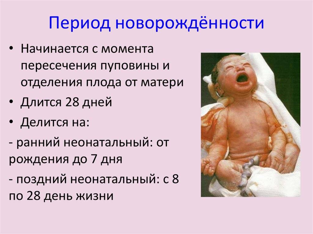 17 особенностей новорождённого ребёнка в неонатальный период