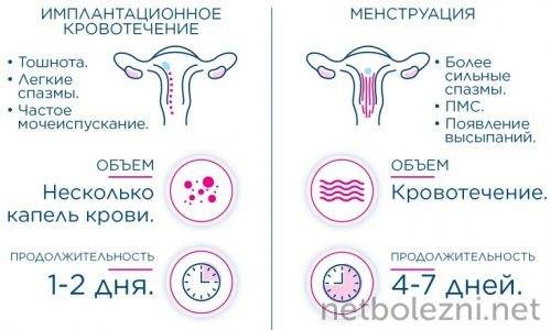 Имплантационное кровотечение или месячные - как отличить: на какой день цикла, как определить | vseoallergii.ru