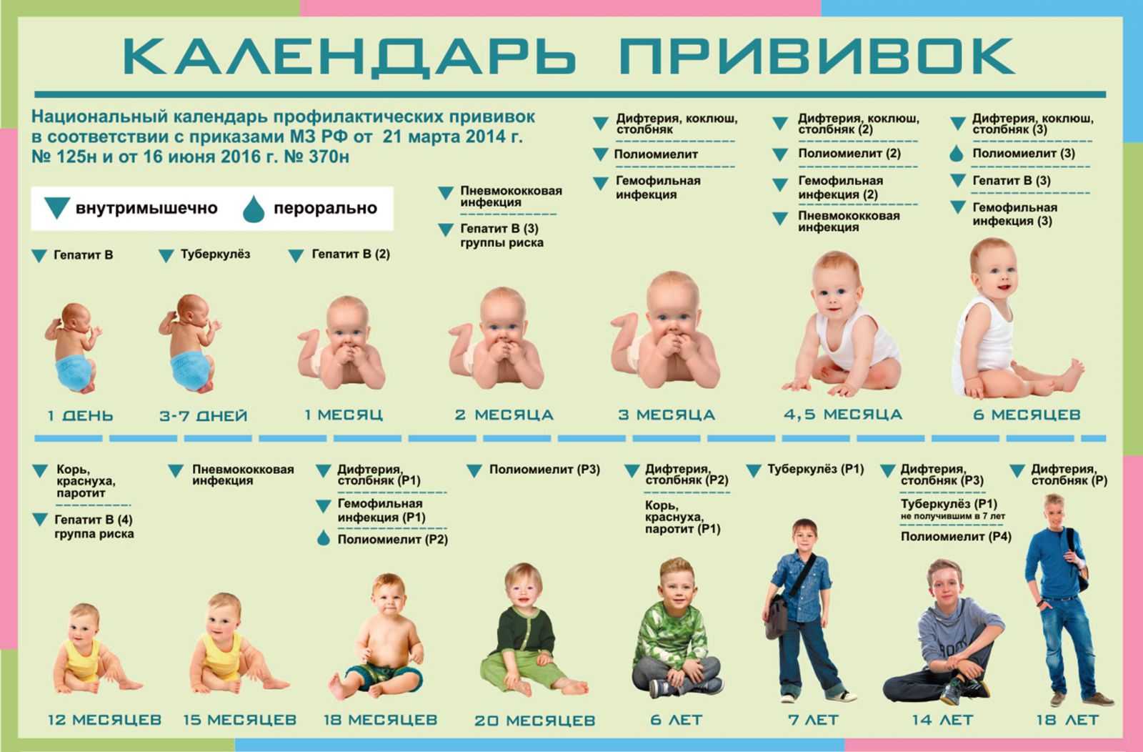 Календарь прививок для детей