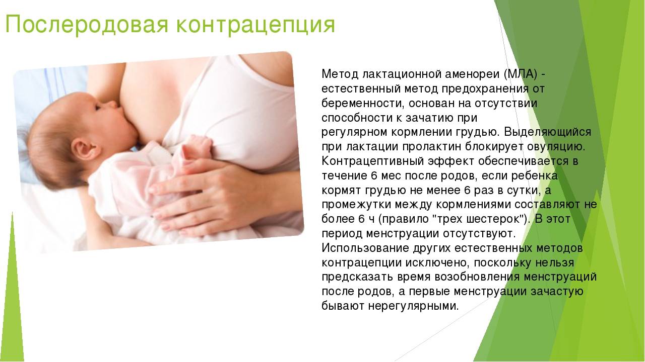 Признаки беременности у кормящей грудью женщины — покажет ли тест беременность?