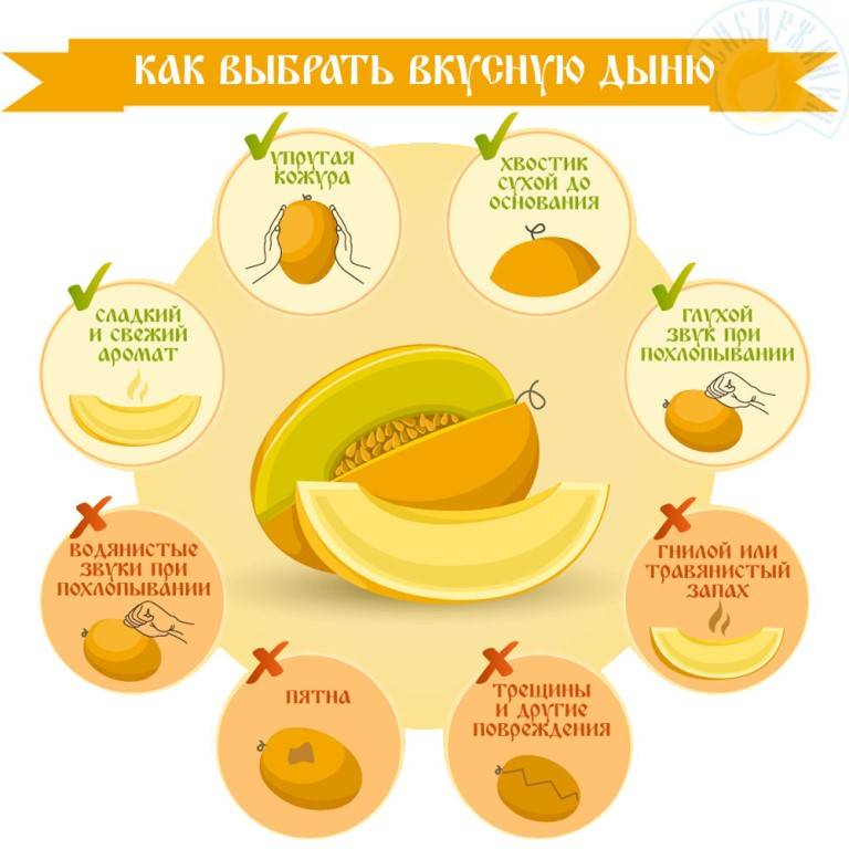 Что нужно знать родителями, прежде чем давать ребенку арбуз / объясняет педиатр – статья из рубрики "правильный подход" на food.ru
