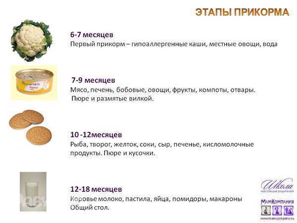 Картофель при грудном вскармливании: можно ли есть кормящей маме жареную картошку, особенности употребления продукта при лактации | afgsm.ru