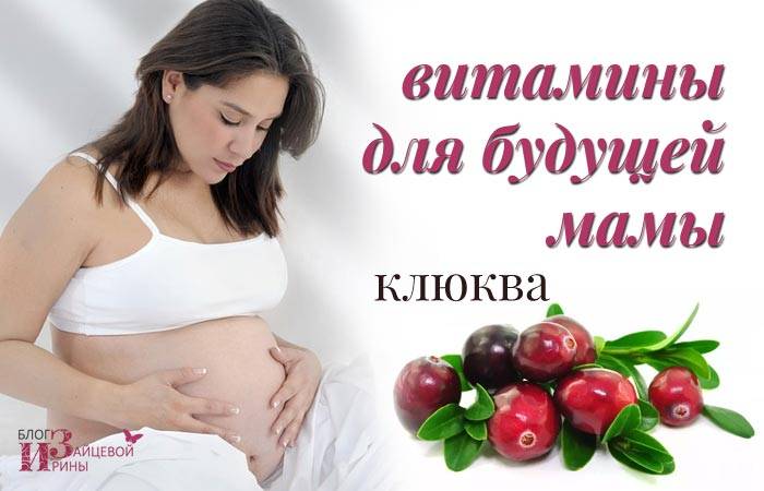 Клюква при беременности – на ранних сроках, можно ли, 1, 2, 3 триместр, польза и вред, от отеков