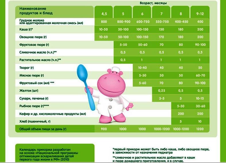 Грудное вскармливание и прикорм: чем и как кормить малыша в 8-9 месяцев гид для родителей