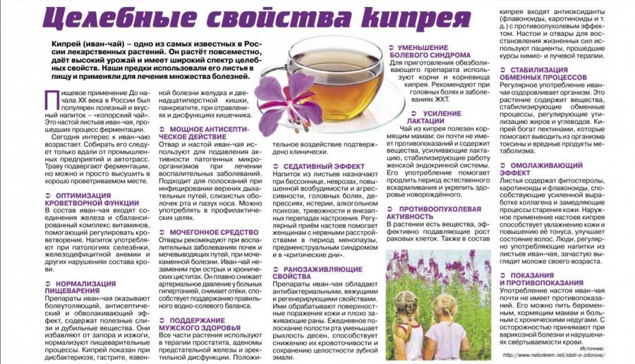 Бруснивер - инструкция по применению, описание, отзывы пациентов и врачей, аналоги