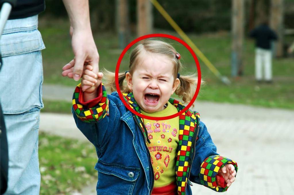Ребенок в 2-3 года часто психует и капризничает: как бороться с капризами (комаровский)