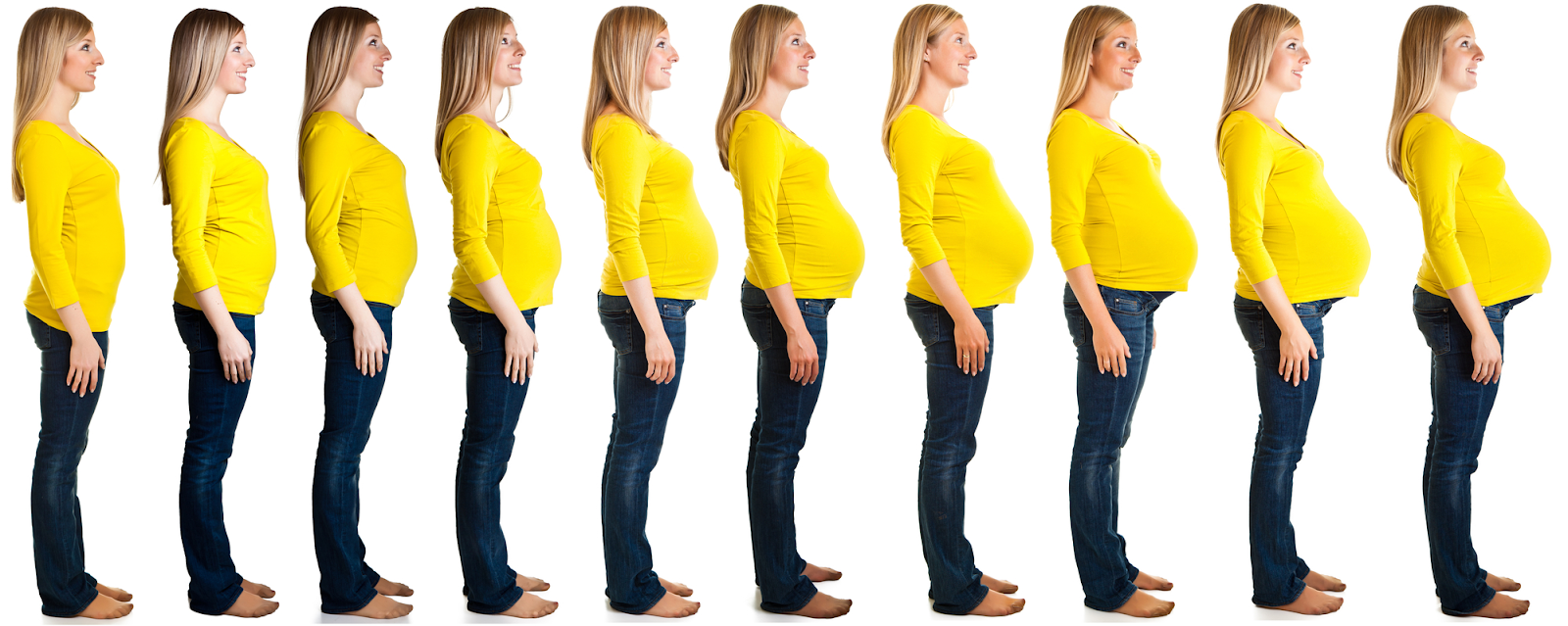 Когда начинает расти живот во время беременности: факторы, форма, размер