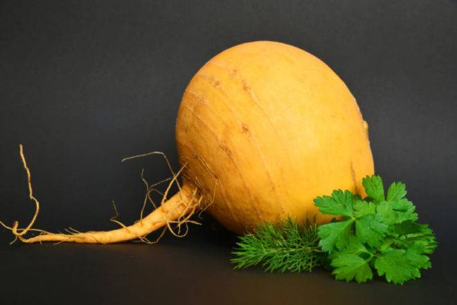 Блюда из репы - 20 быстрых и вкусных рецептов