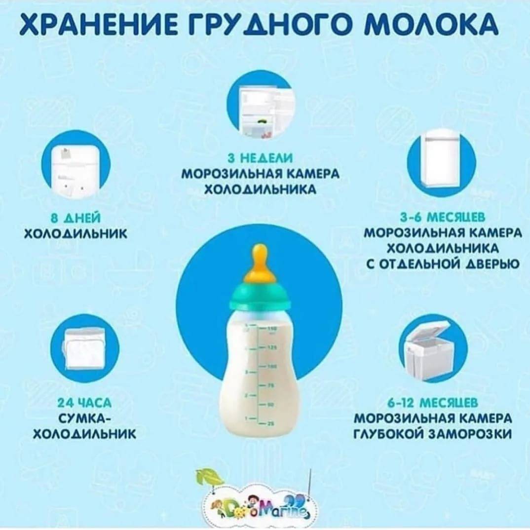 Важные правила для здоровья малыша: как хранить грудное молоко после сцеживания в бутылочке