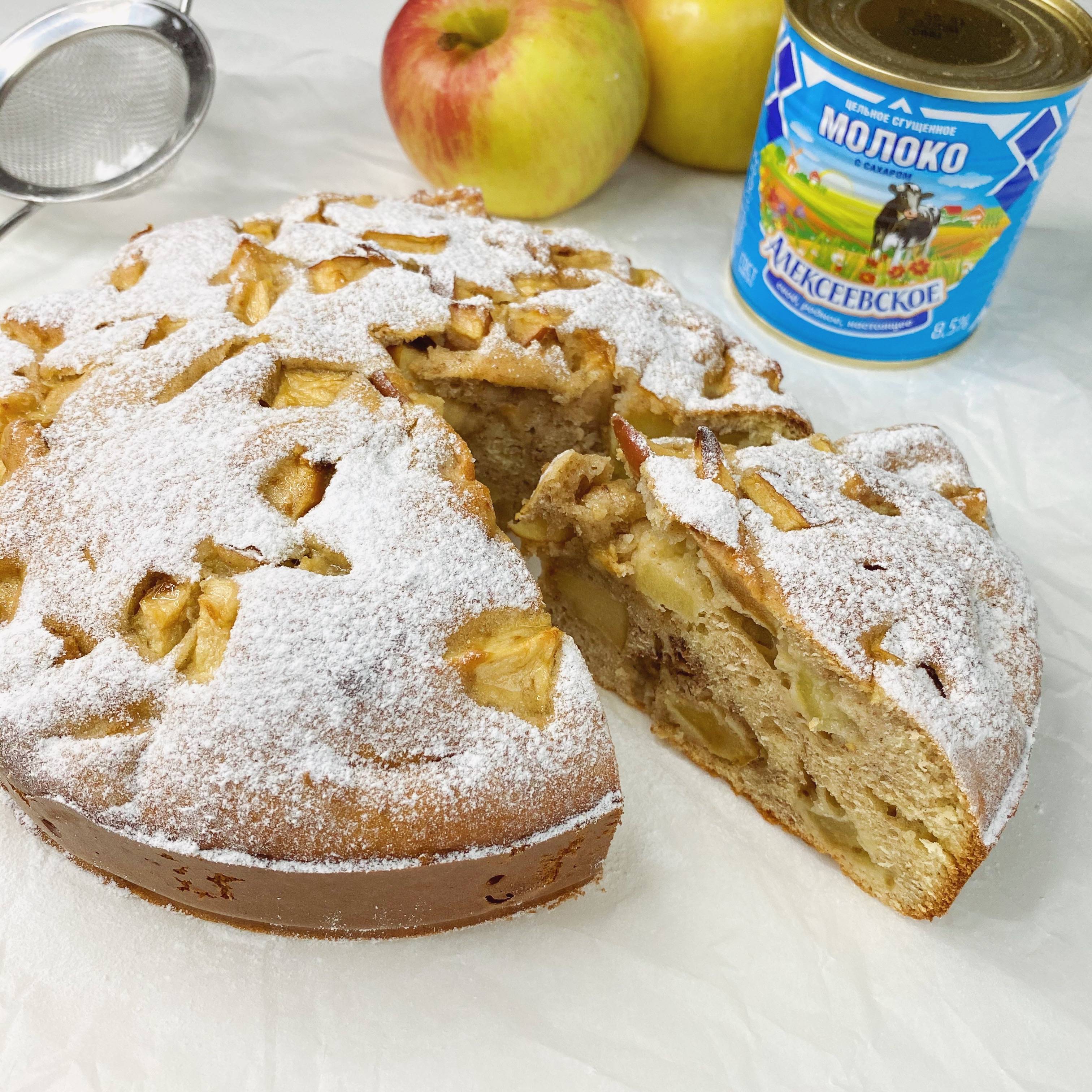 Шарлотка с яблоками для кормящих мам: можно ли пирог при гв, когда вводить в рацион во время грудного вскармливания, и полезные рецепты