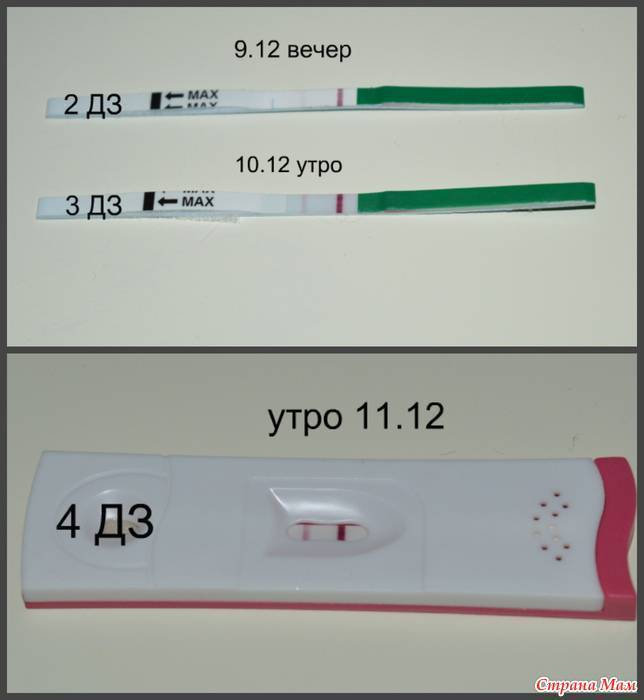 Через сколько дней после зачатия тест на беременность покажет две полоски: на какой день после зачатия лучше делать тест, что влияет на результат