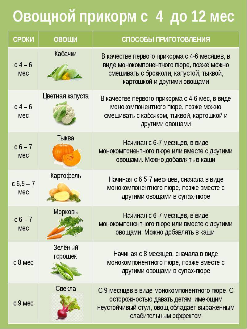 Прикорм по месяцам, какие продукты вводить в прикорм ребенку с 6 месяцев  - agulife.ru