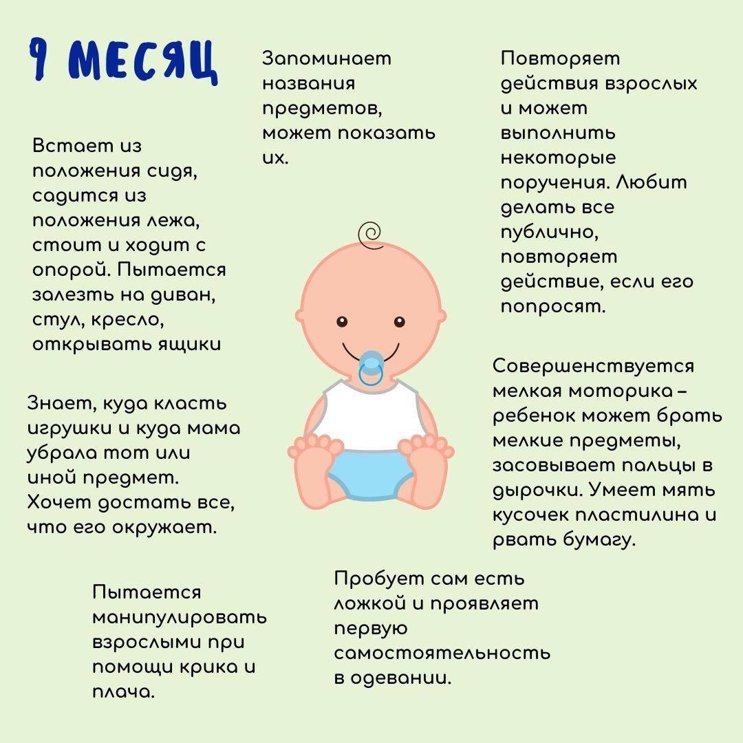 Развитие ребенка в 8 месяцев: что должен уметь, физическое и психическое развитие, вес, рост, питание и режим малыша.